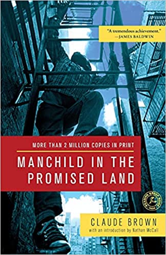 Man Child In The Promised Land - Book