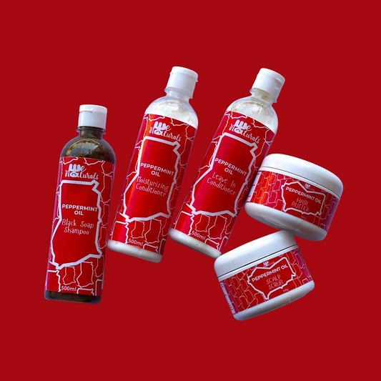 We Naturals Peppermint Set for Hair Care