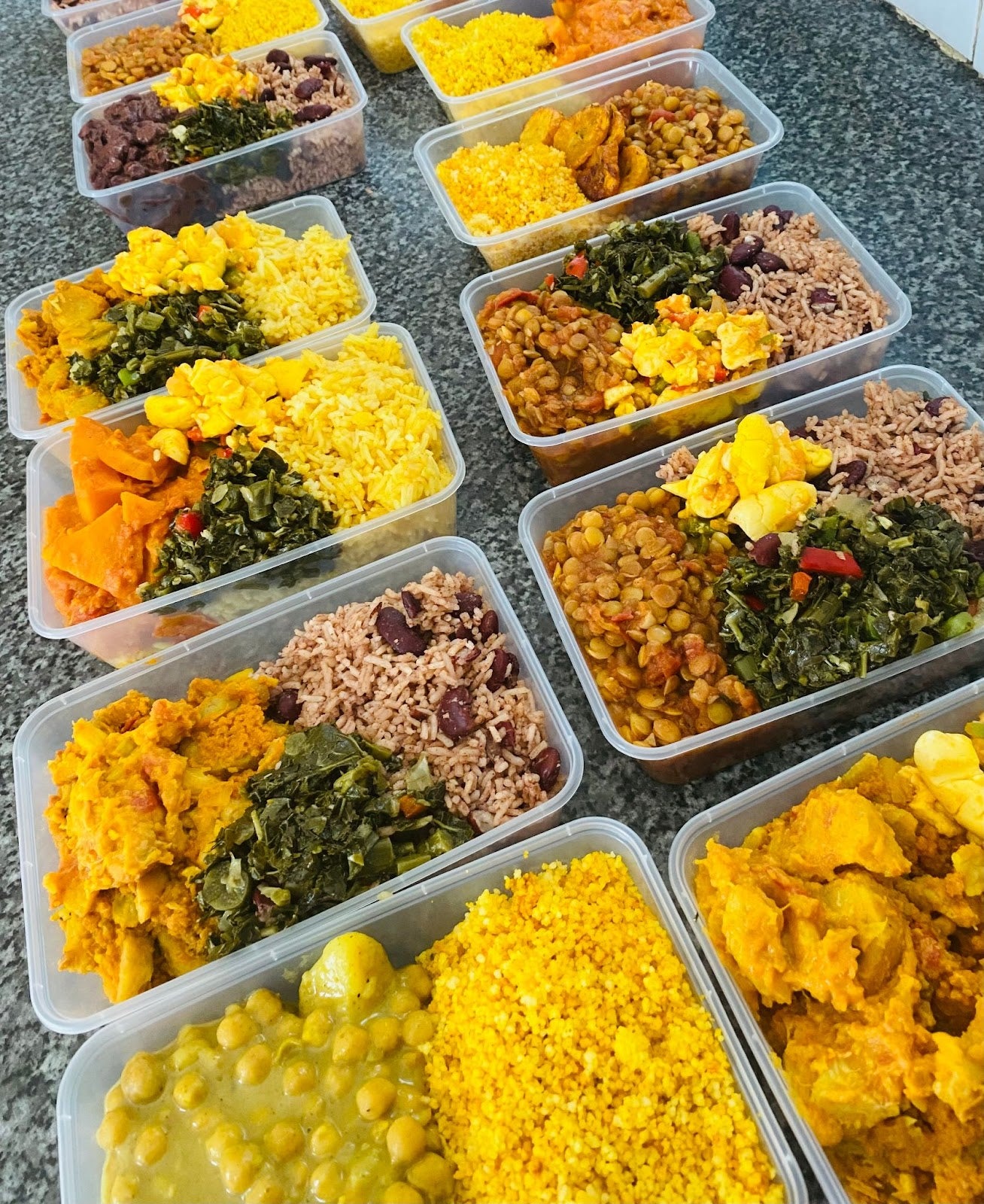 Ten Large Caribbean VEGAN Packaged Meals