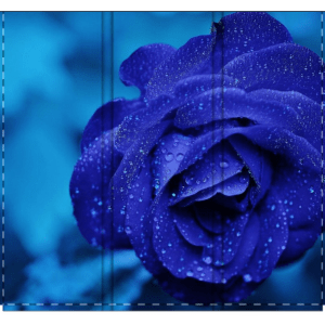 Blue Rose Room Divider, Sturdy Screen Divider