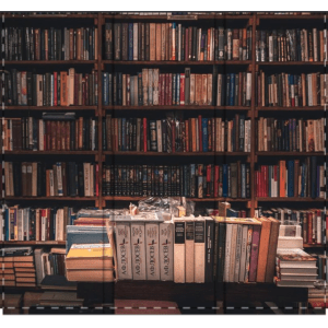 Bookshelves Themed Room Divider, Sturdy Screen Divider