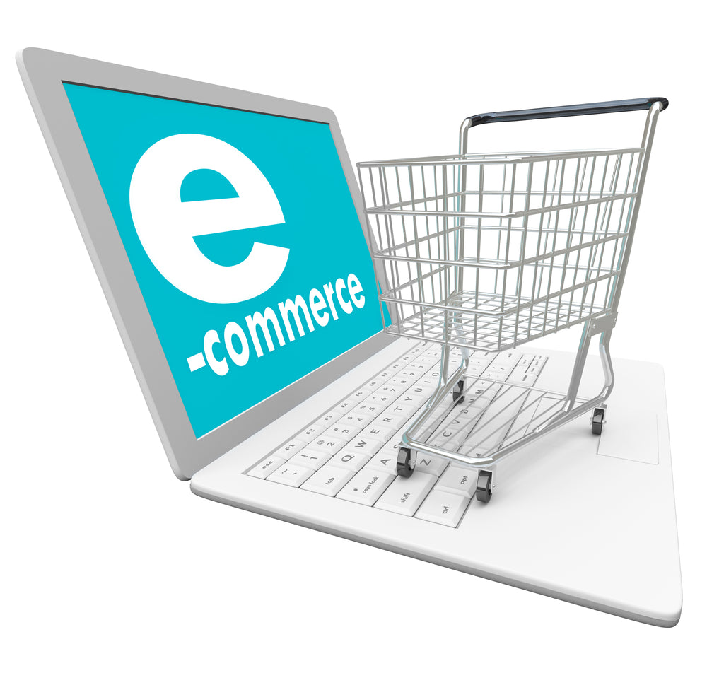 E-Commerce Website set up with up to 40 Items for Sale