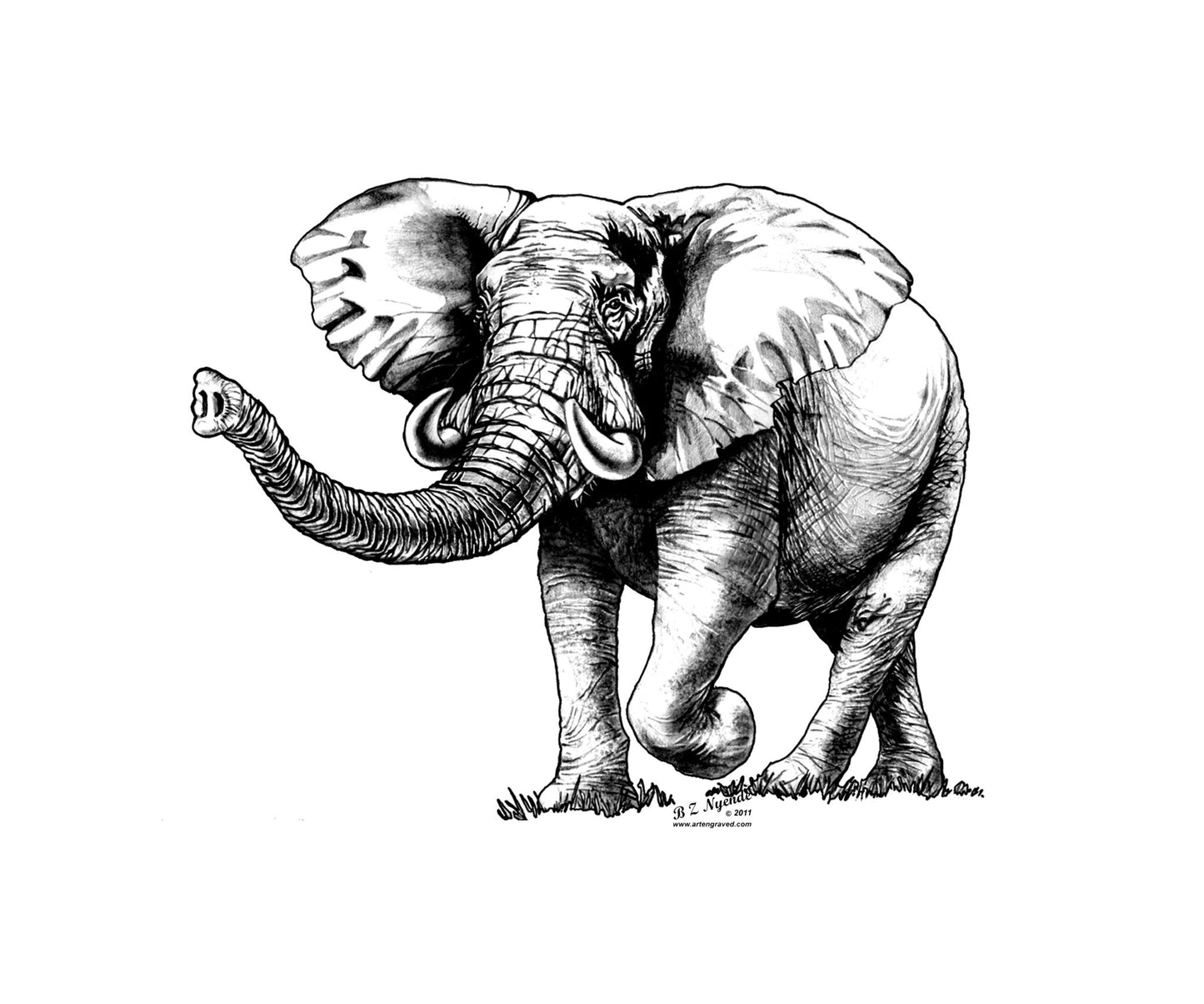 Elephant - Hand Drawn - Available  as Prints or Merch