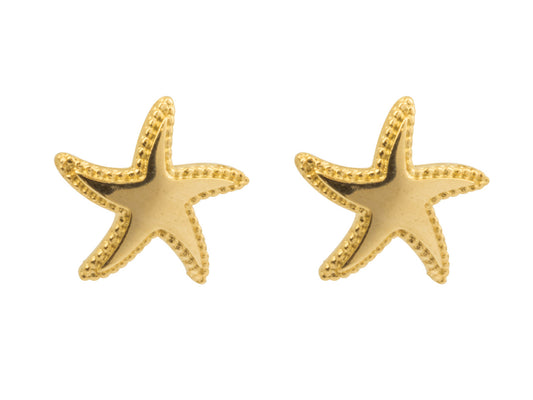 9 carat Gold Starfish Studs