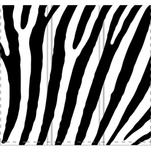 Zebra Room Divider, Sturdy Screen Divider